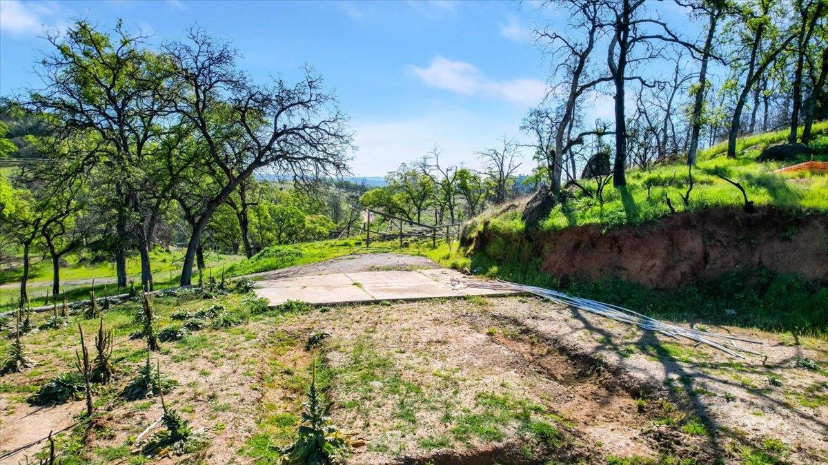 276 Oregon Gulch Road Oroville, CA 95965 - Photo 3 of 12 a view of a garden with plants