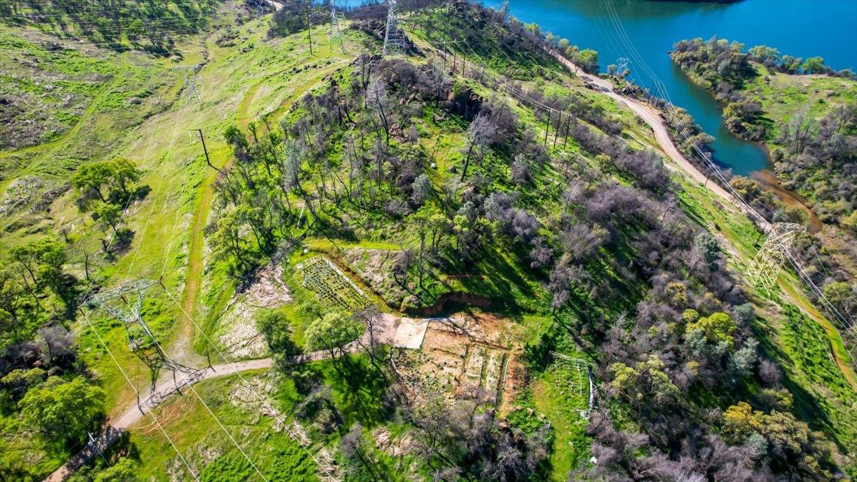 276 Oregon Gulch Road Oroville, CA 95965 - Photo 6 of 12 a view of a garden with a plant