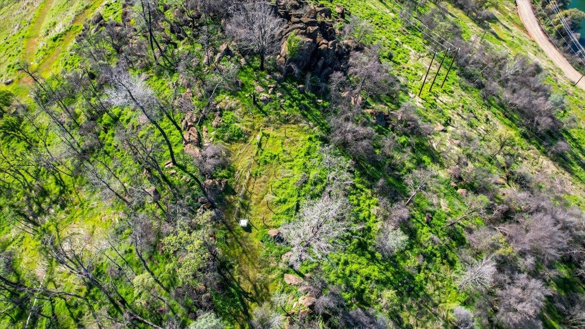 276 Oregon Gulch Road Oroville, CA 95965 - Photo 10 of 12 a view of a plant in a garden