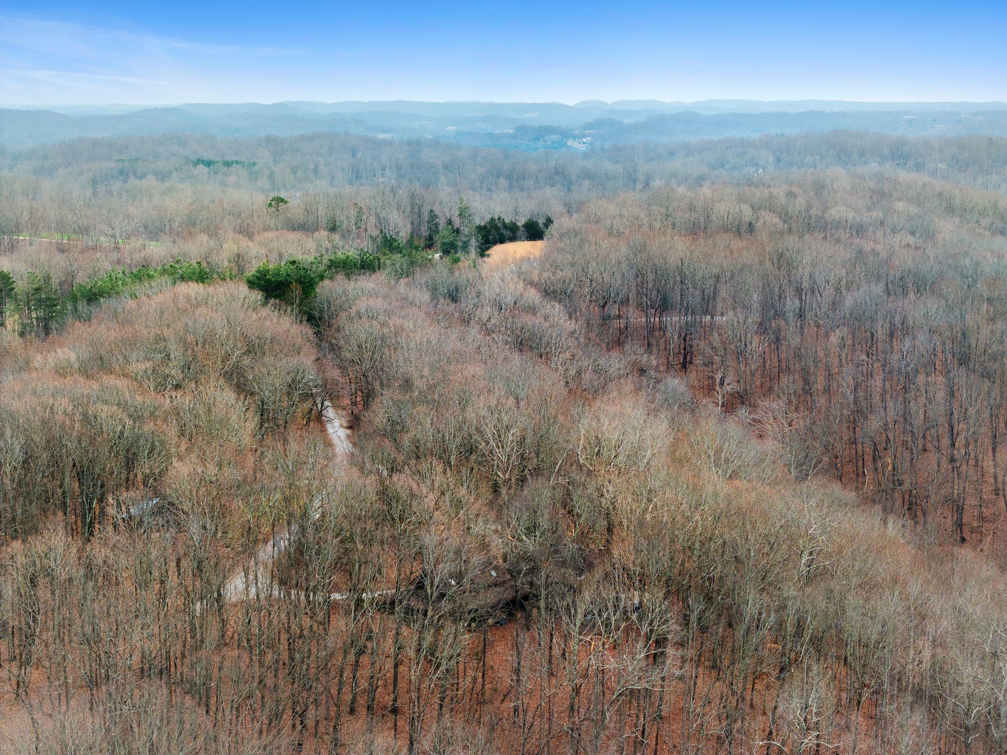 5215 Backbone Ridge Road Franklin, TN 37064 - Photo 63 of 71 Gallery Image 63