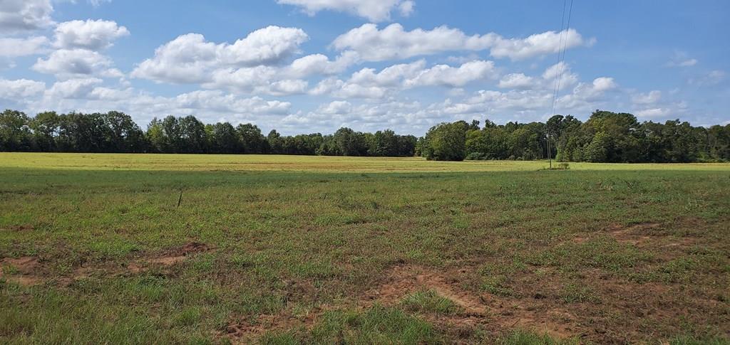 13 Rehobeth Al Dothan, AL 36301 - Photo 1 of 1