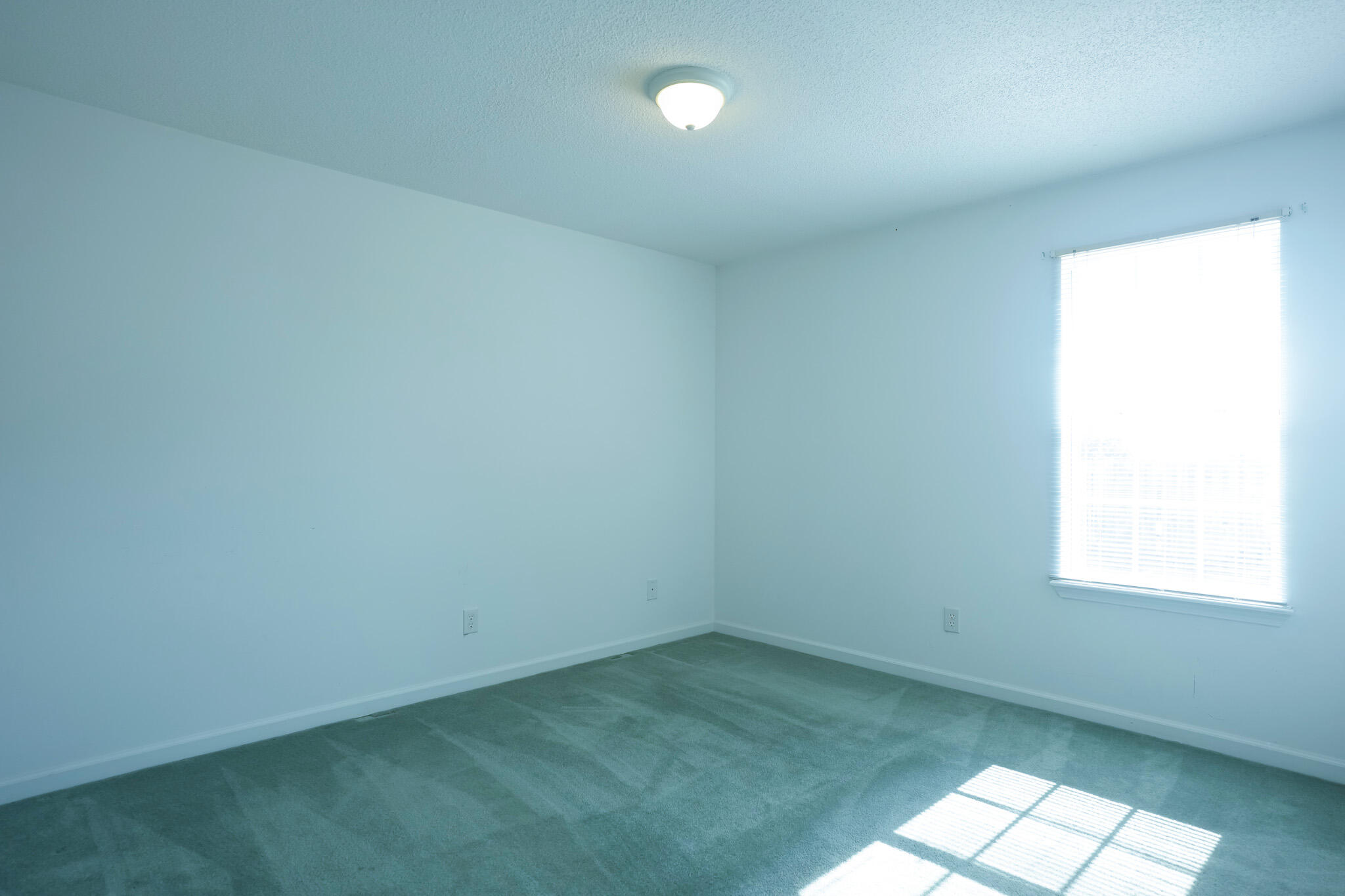 900 Cannock Street Grovetown, GA 30813 - Photo 23 of 29 DSC09274