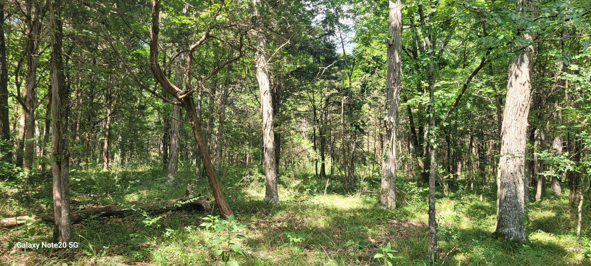 2 Clem Creek Road Chapel Hill, TN 37034 - Photo 6 of 9