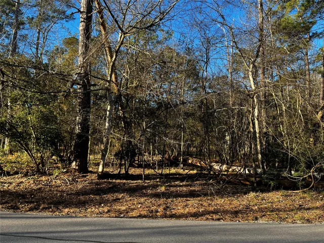 a view of a yard with large trees