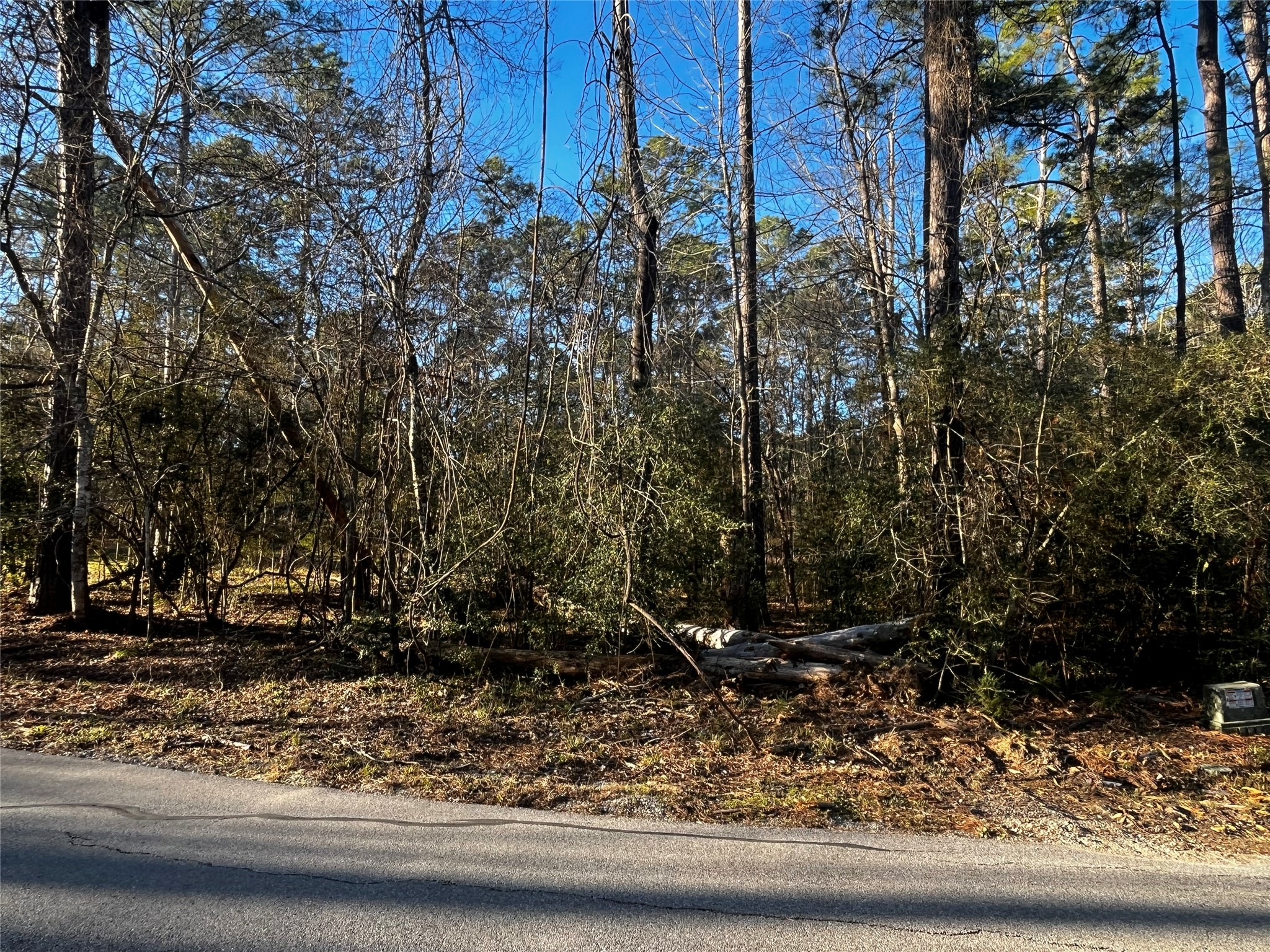 172 North Fairway Loop Coldspring, TX 77331 - Photo 2 of 13 0.2119 Acres / 9,230 SF