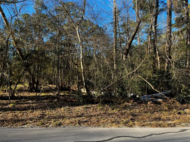 a view of a tree in front of a house