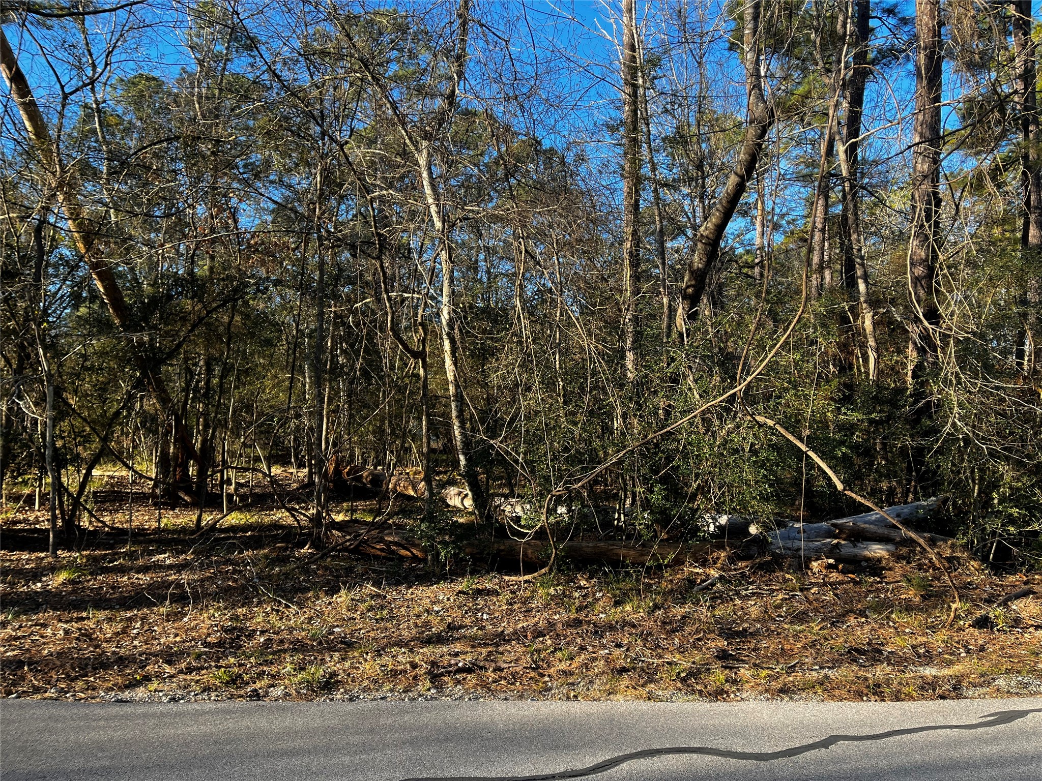 172 North Fairway Loop Coldspring, TX 77331 - Photo 3 of 13 Come build your lake home