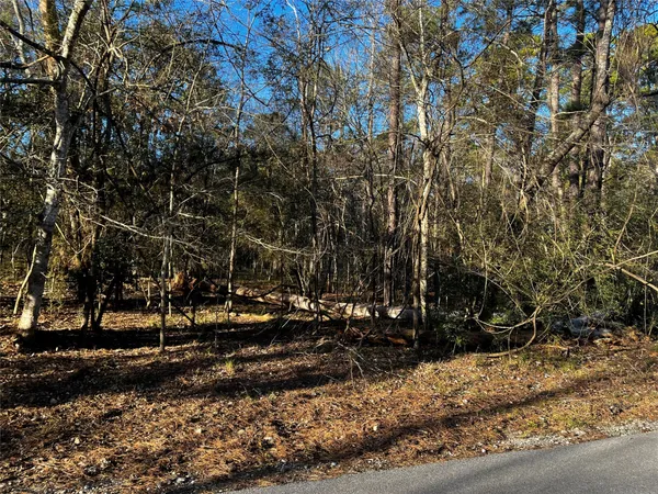 a view of road with trees