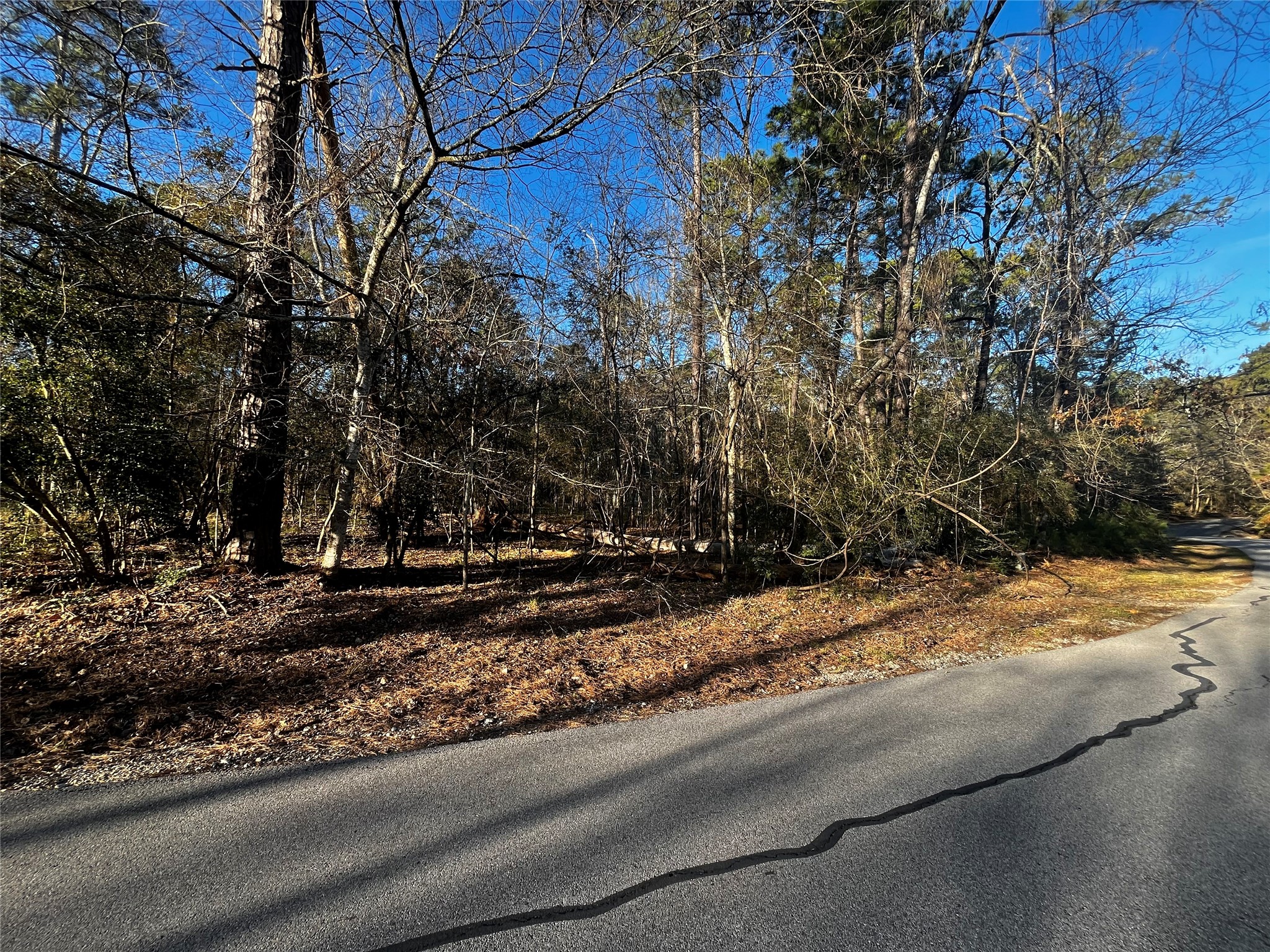 172 North Fairway Loop Coldspring, TX 77331 - Photo 5 of 13 Royale Greens section of Cape Royale on Lake Livingston