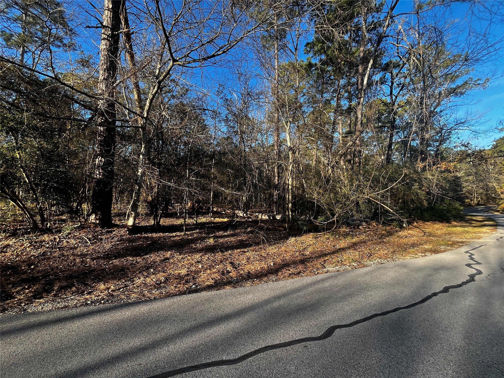 172 North Fairway Loop Coldspring, TX 77331 - Photo 5 of 13 a view of a house with a yard