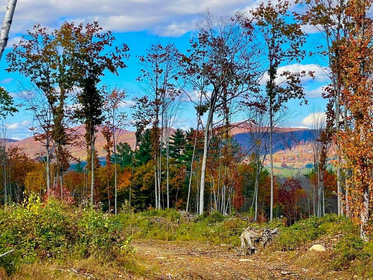 20221019230136508929000000-o