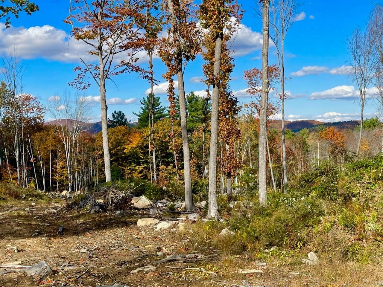 Lot 29 Old High Road Cornish, ME 04020 - Photo 4 of 11 20221019230127539350000000-o