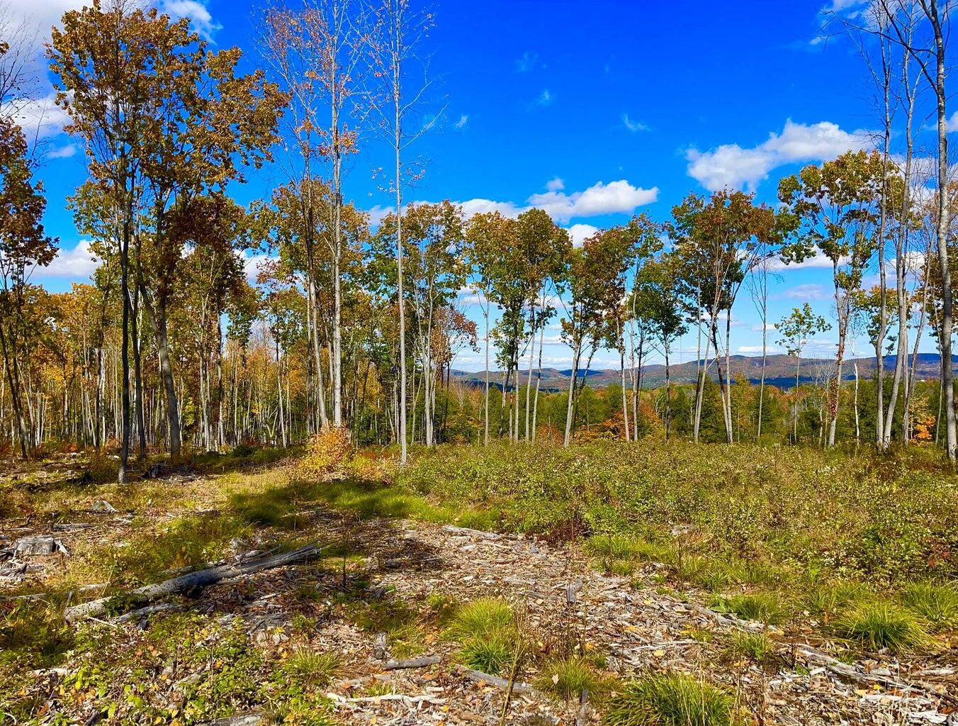 Lot 29 Old High Road Cornish, ME 04020 - Photo 7 of 11 20221019230148270010000000-o