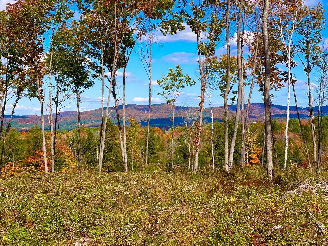 Lot 29 Old High Road Cornish, ME 04020 - Photo 8 of 11 20221019230153003756000000-o