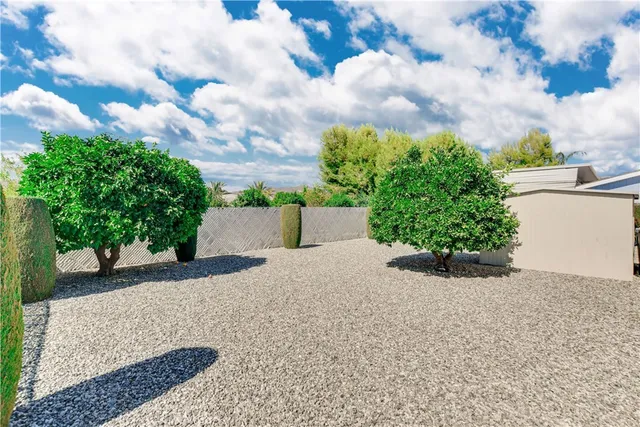 a view of a house with a yard and plant