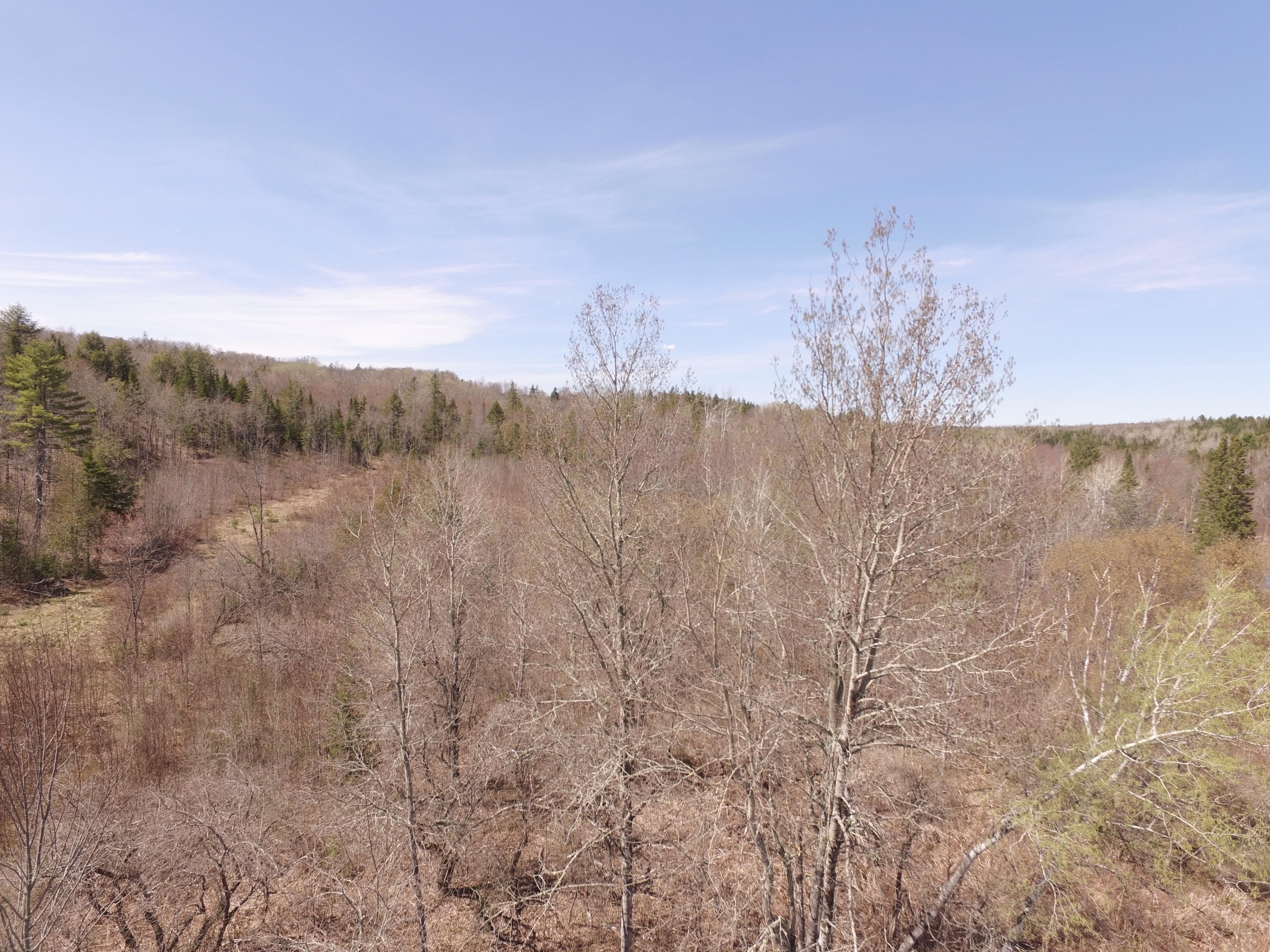 169 Danforth Me 04424 Danforth, ME 04424 - Photo 15 of 17 DJI_0063