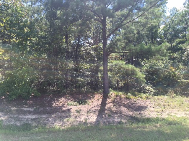 3997 Radford Gay Road Dearing, GA 30808 - Photo 4 of 4 Gallery Image 4