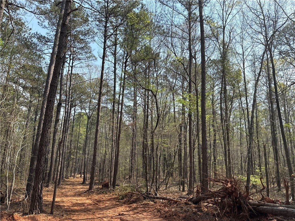 0 Heard Road Waverly, AL 36879 - Photo 2 of 11 Gallery Image 2