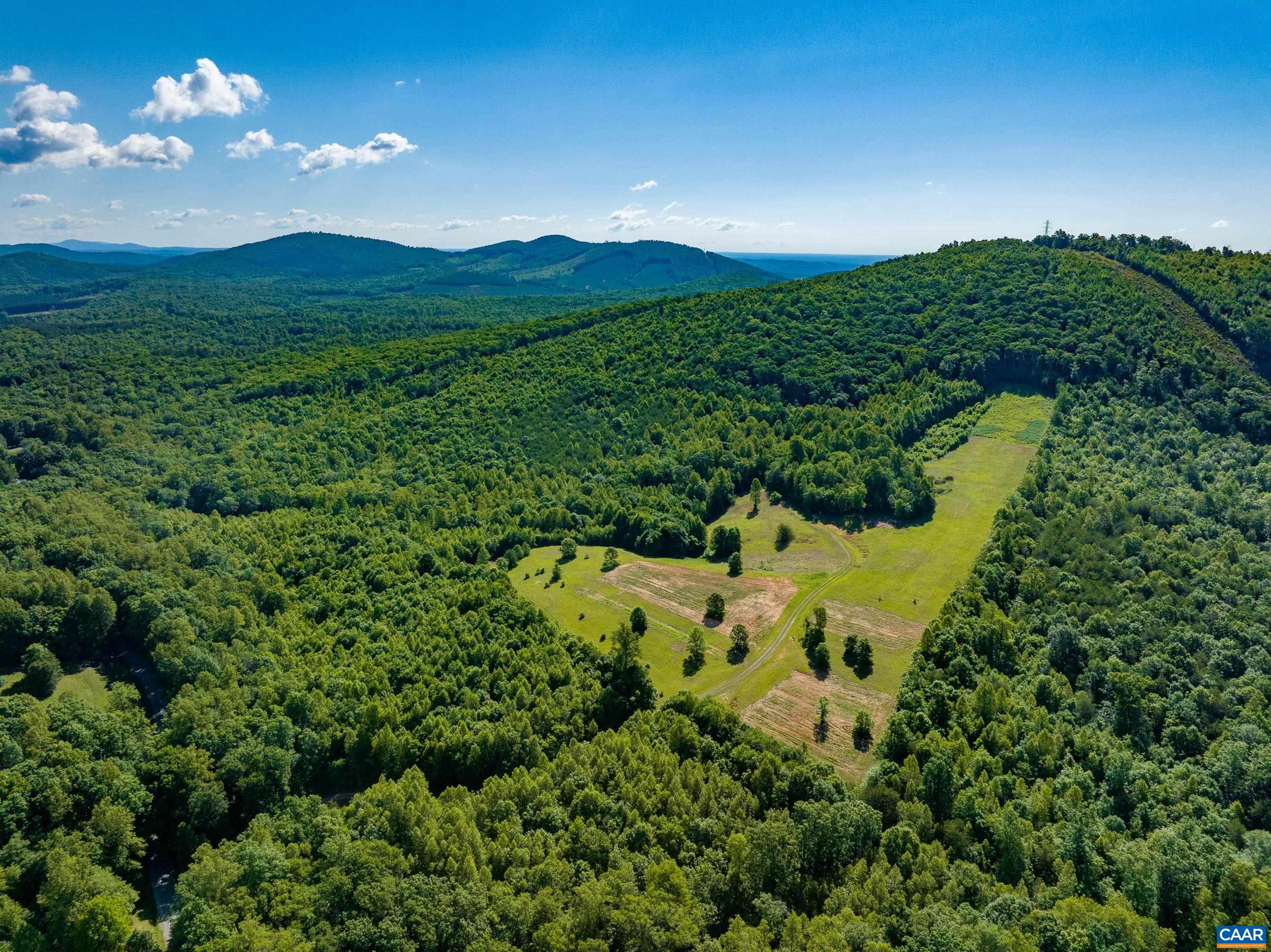 7869 Laurel Road Shipman, VA 22971 - Photo 3 of 30 a view of a big yard with large trees