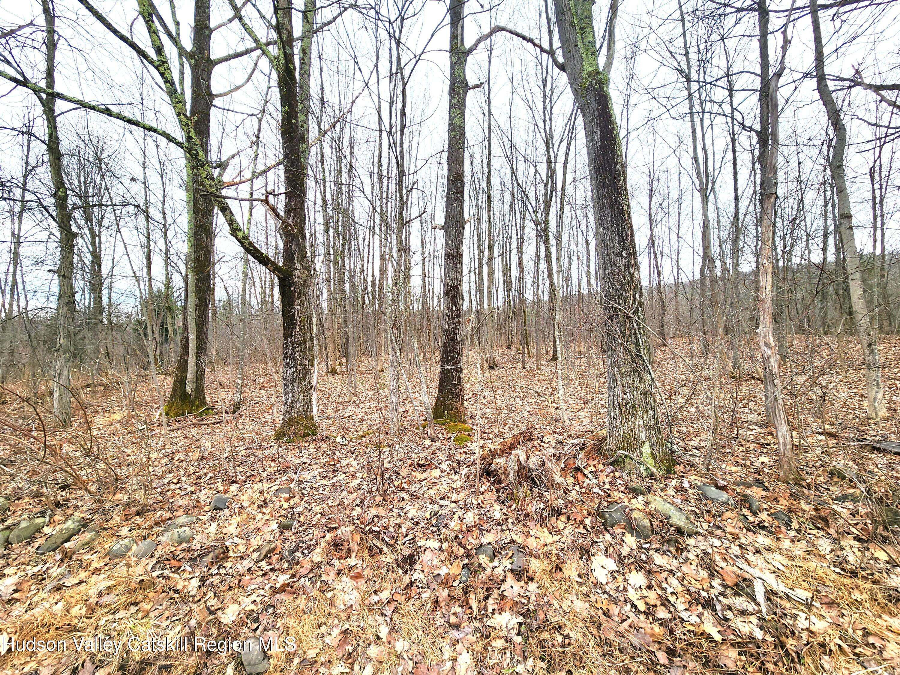 Tbd Irish Cape Road Ellenville, NY 12428 - Photo 10 of 16 a yard with trees in the background