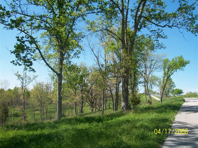 4 Ogden Ridge Road Mount Olivet, KY 41064 - Photo 9 of 21 Gallery Image 9