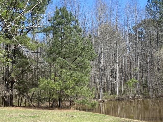 5519 Union Hill Road Alpharetta, GA 30004 - Photo 4 of 7