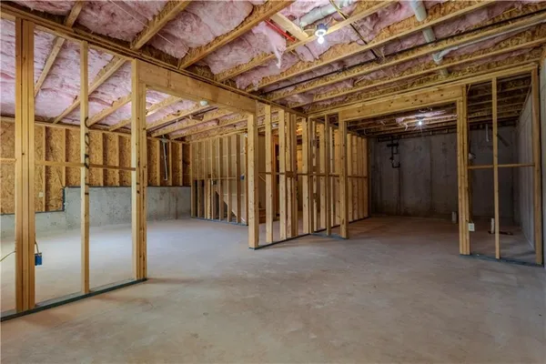 a view of a backyard with plants and a large tree