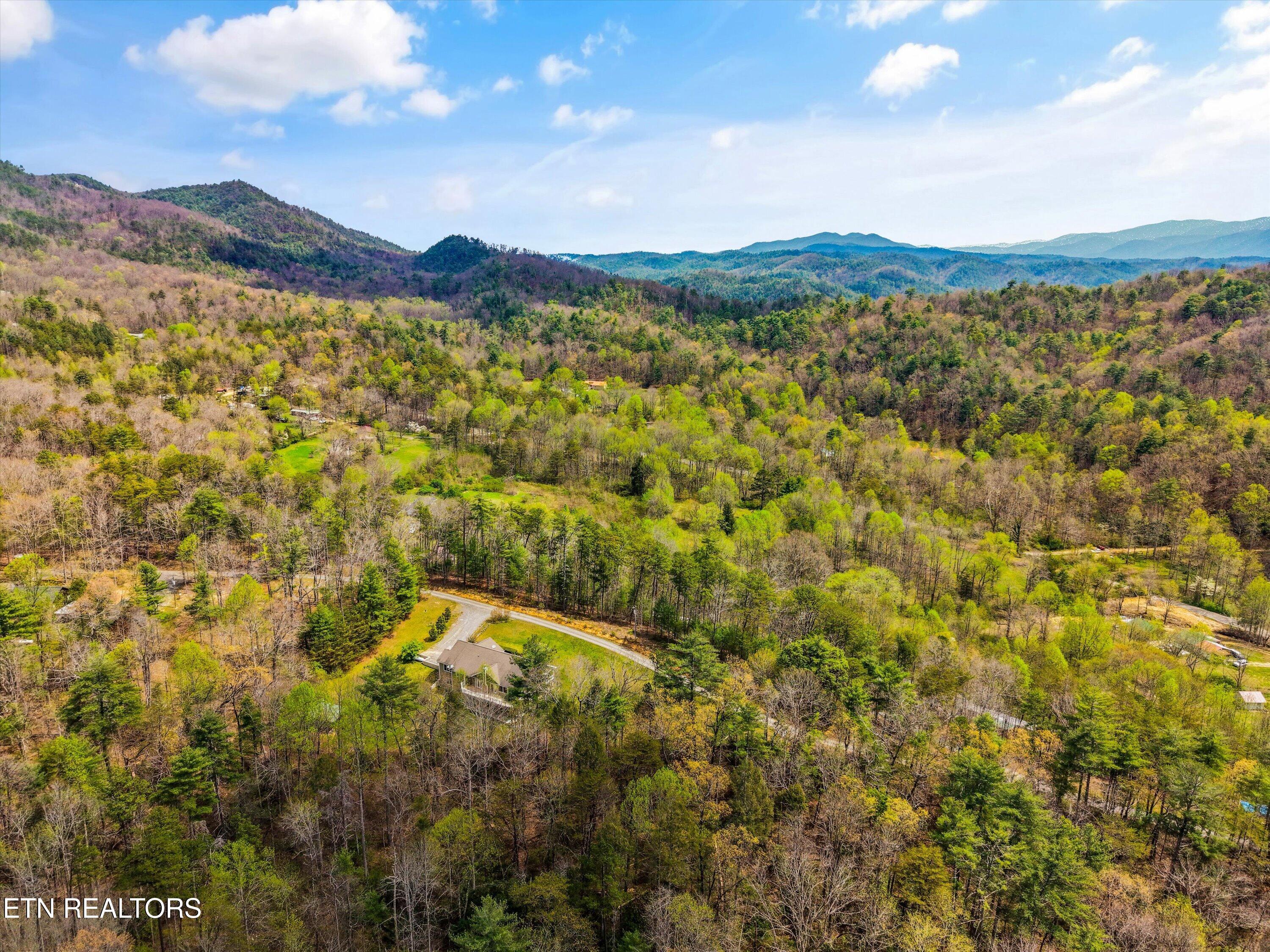 117 Cooper Road Tallassee, TN 37878 - Photo 44 of 51 Aerial