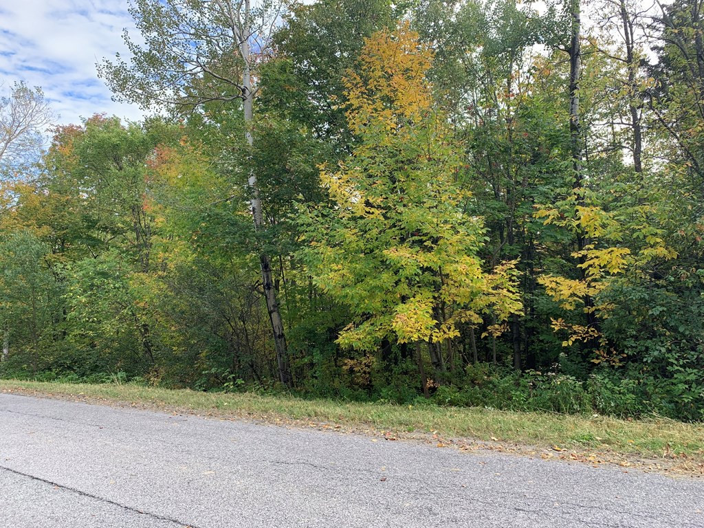 0 Steam Mill Road Ellenburg Center, NY 12934 - Photo 2 of 3