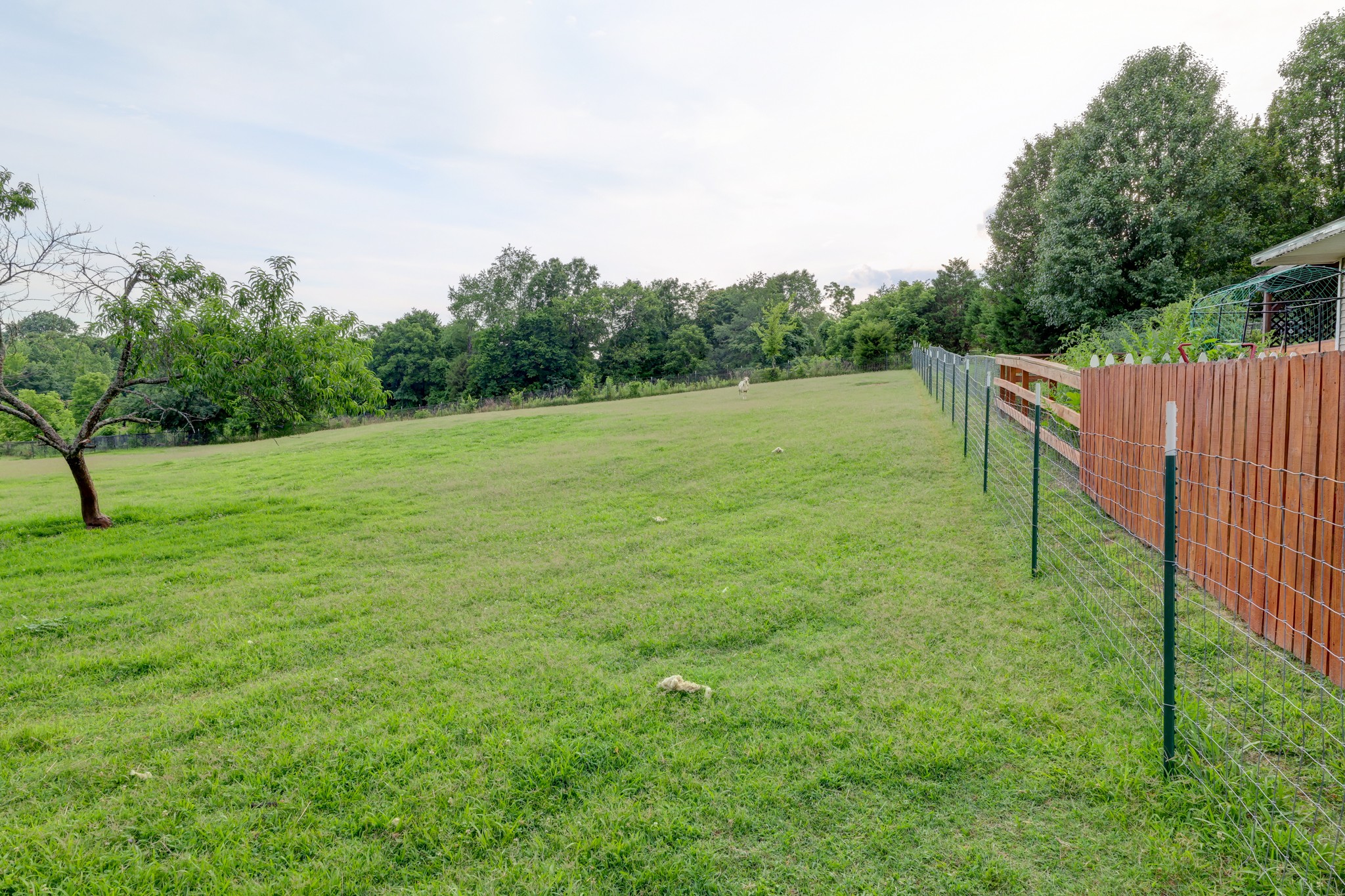 2195 Chester Harris Road Woodlawn, TN 37191 - Photo 59 of 65 Gallery Image 59
