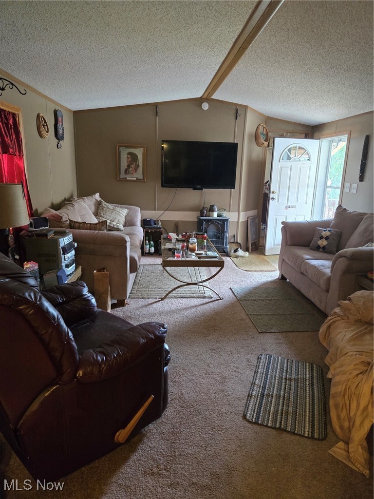 5974 Cleveland Road, Unit 23 Wooster, OH 44691 - Photo 7 of 29 Living area featuring carpet flooring and a textured ceiling