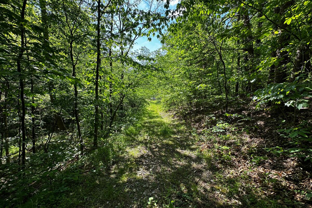 3994 Yates Road Shawsville, VA 24162 - Photo 20 of 40 land for sale in shawsville va 1