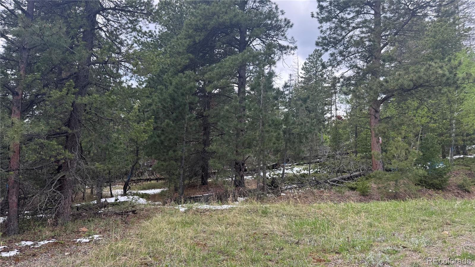 717 Crescent Lake Road Golden, CO 80403 - Photo 18 of 27