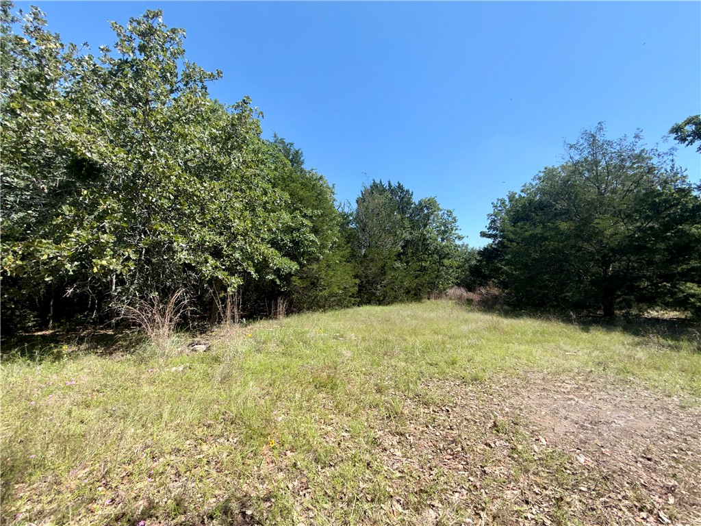 545 Cranberry Road Somerville, TX 77879 - Photo 12 of 19