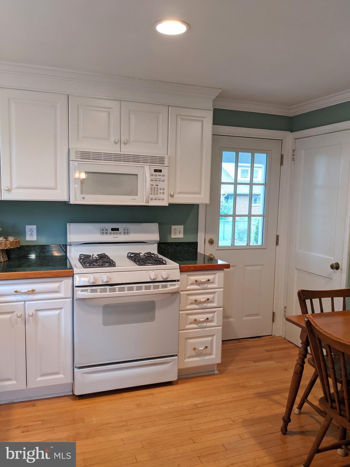 210 Paddock Road Havertown, PA 19083 - Photo 13 of 28 Outside exit to level Yard, and covered Porch .