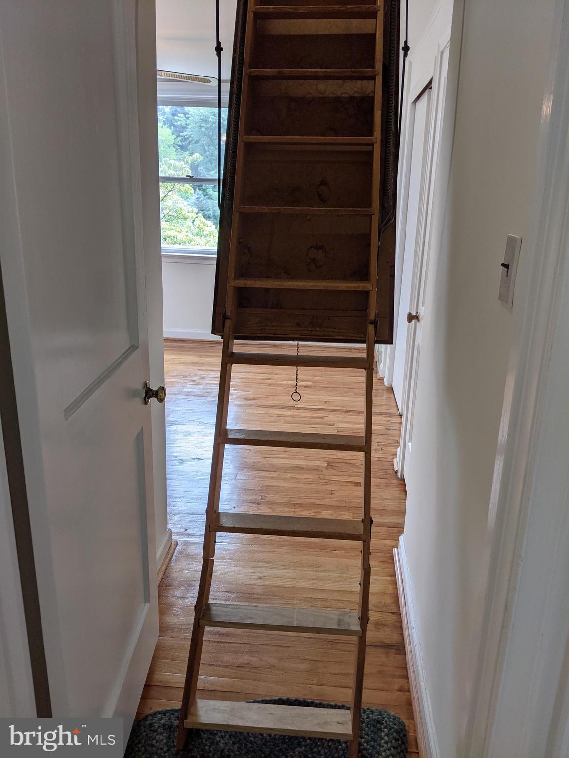 210 Paddock Road Havertown, PA 19083 - Photo 21 of 28 Pull down attic access, w/ lots of space!