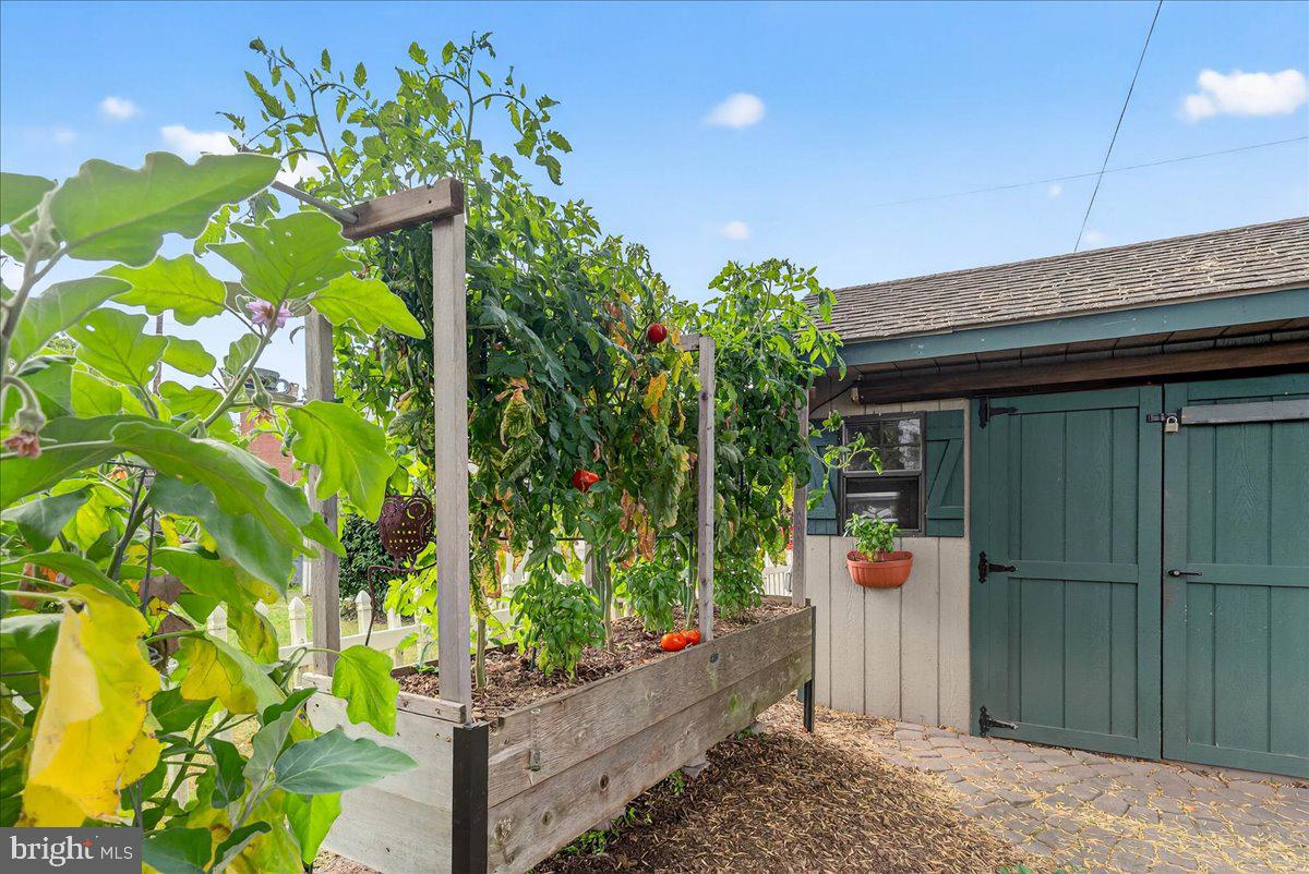 54 Chestnut Street Pottstown, PA 19464 - Photo 41 of 44 a backyard of a house