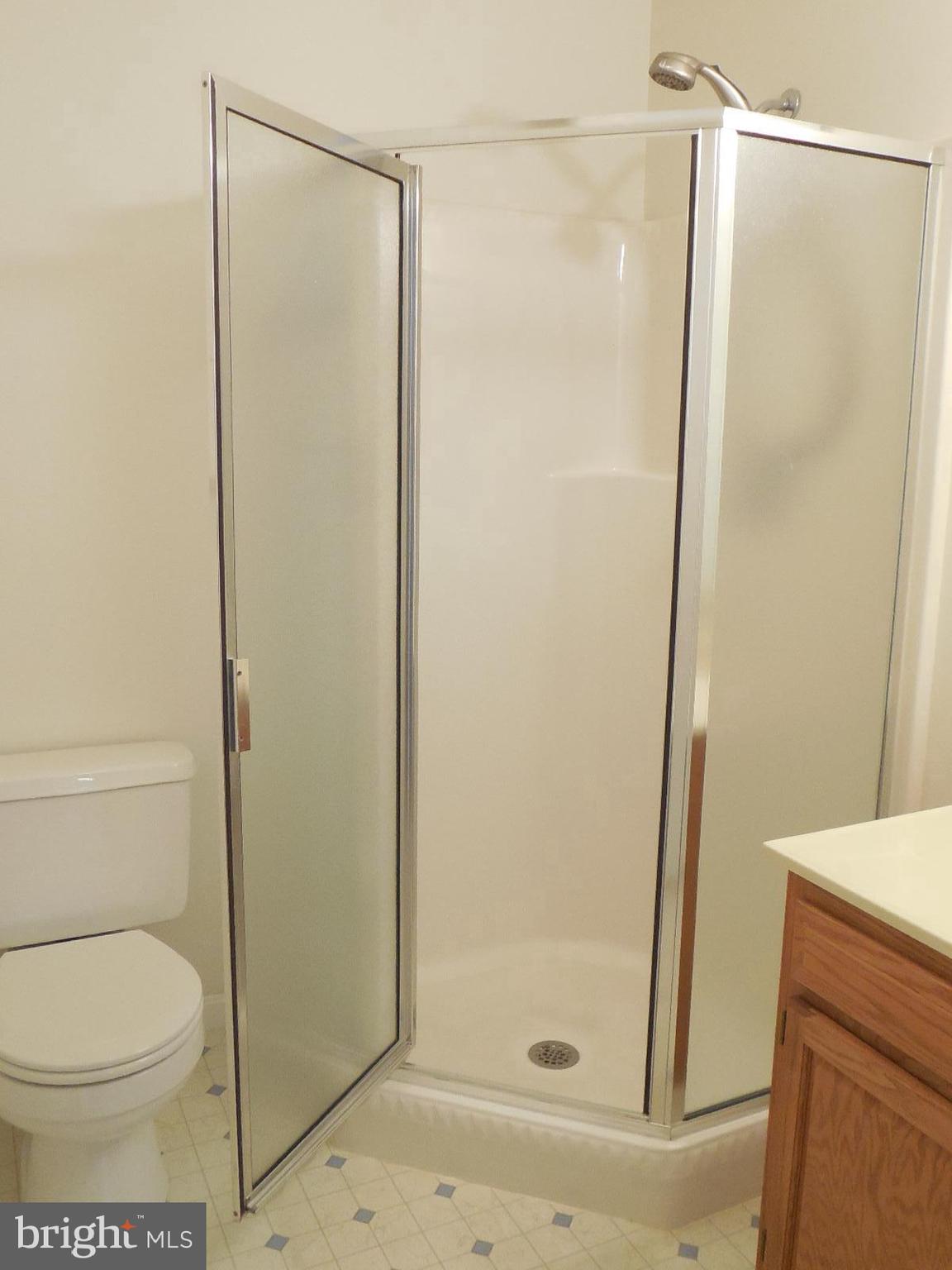 2817 Robin Road York, PA 17404 - Photo 9 of 44 Master Bathroom with Corner Glass Shower