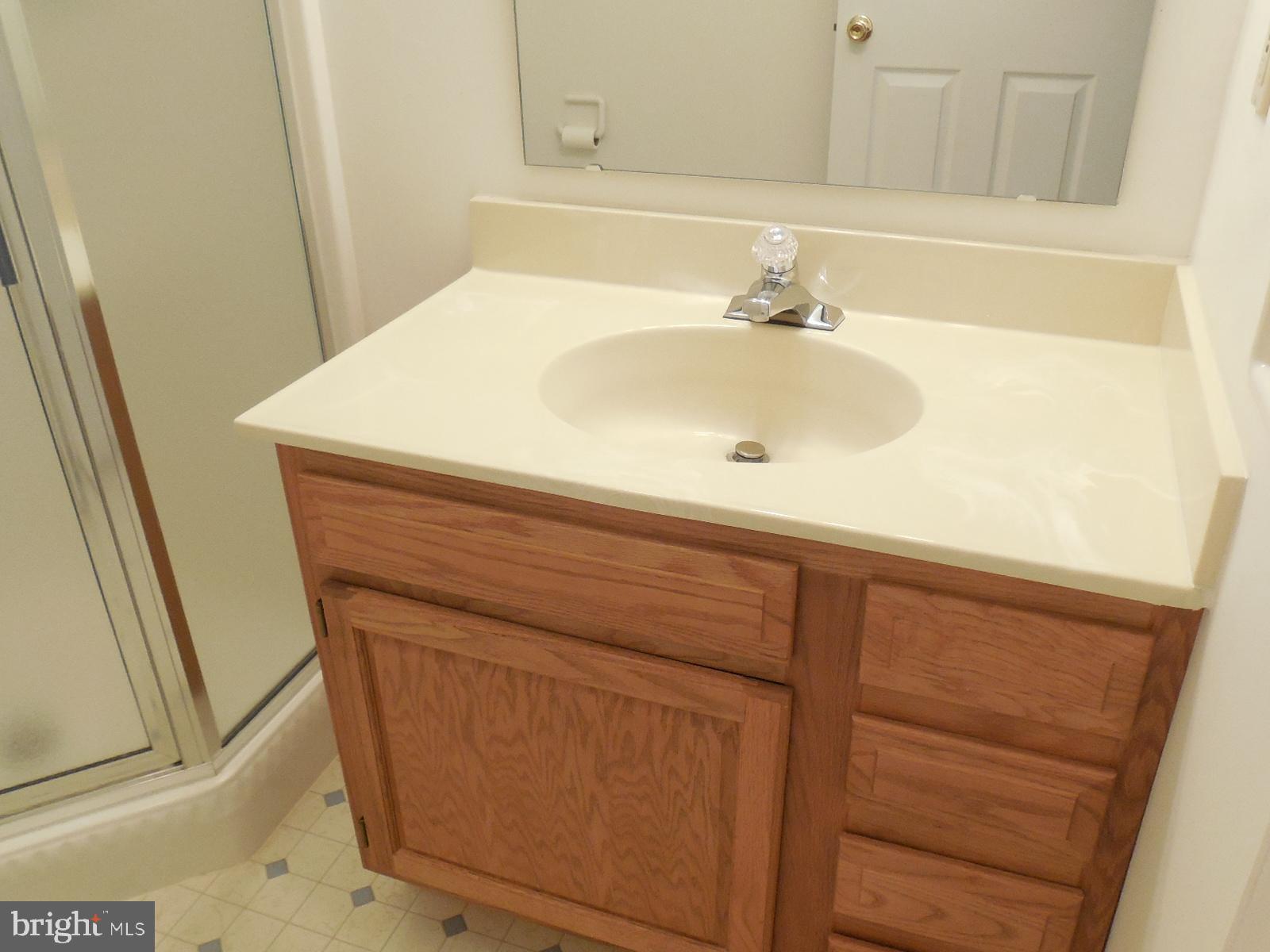2817 Robin Road York, PA 17404 - Photo 10 of 44 Master Oak Vanity