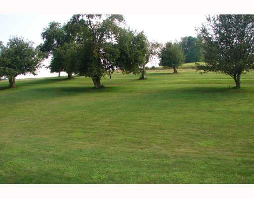 161 Airport Road Finleyville, PA 15332 - Photo 8 of 8 Yard/Garden. And last but not least the rear yard, imagine relaxing on a warm summer evening with this view? And who knows... you just might see Bambi! And if you like to garden there s still more than enough room.Come see for yourself what you re missing!!