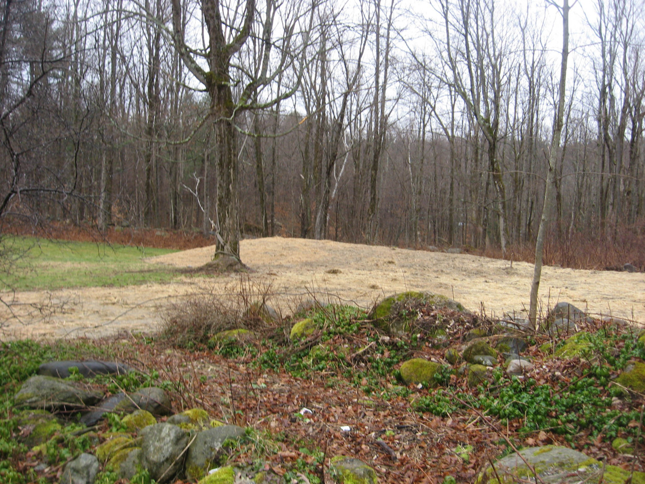 5 Dodd Road Sandisfield, MA 01255 - Photo 8 of 37 a view of yard