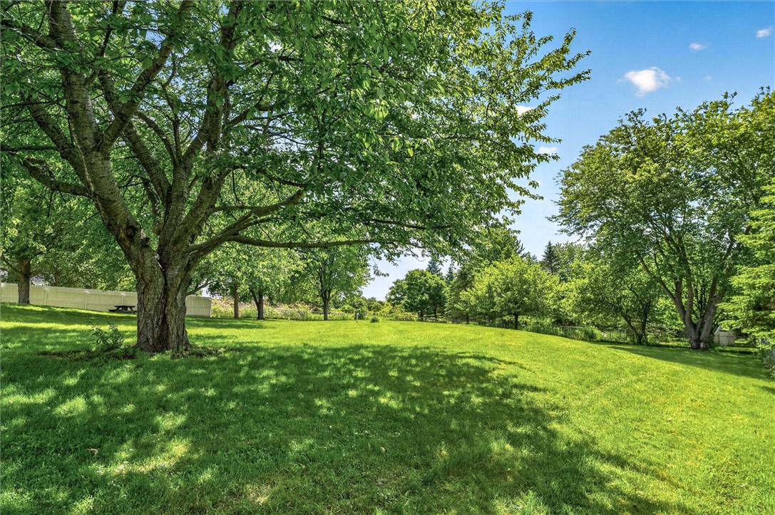 479 Churchville Riga Road Riga, NY 14428 - Photo 43 of 50