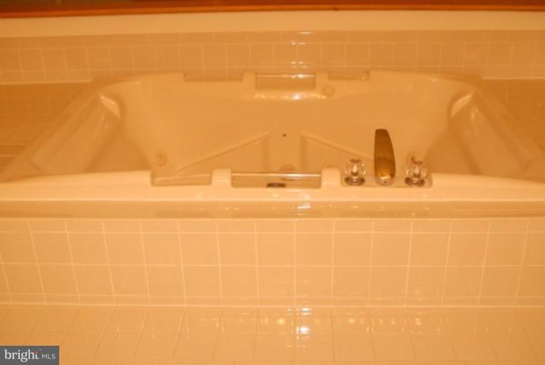 9300 Ispahan Loop Laurel, MD 20708 - Photo 11 of 12 Master Bath