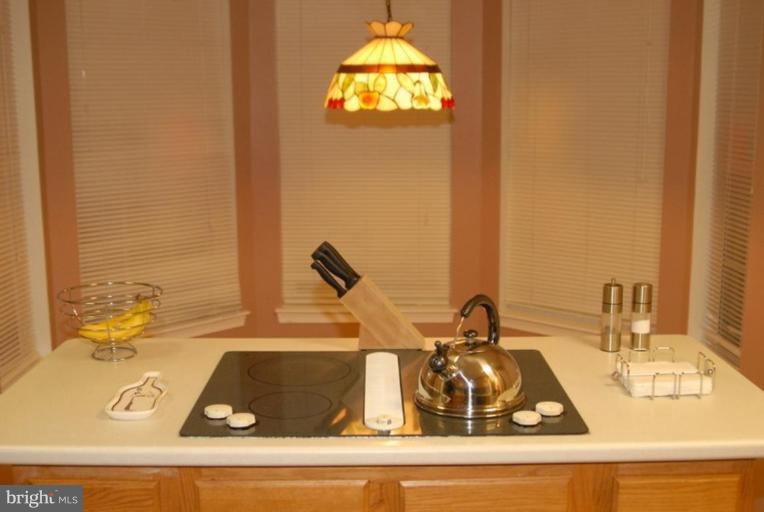 9300 Ispahan Loop Laurel, MD 20708 - Photo 10 of 12 Kitchen #2