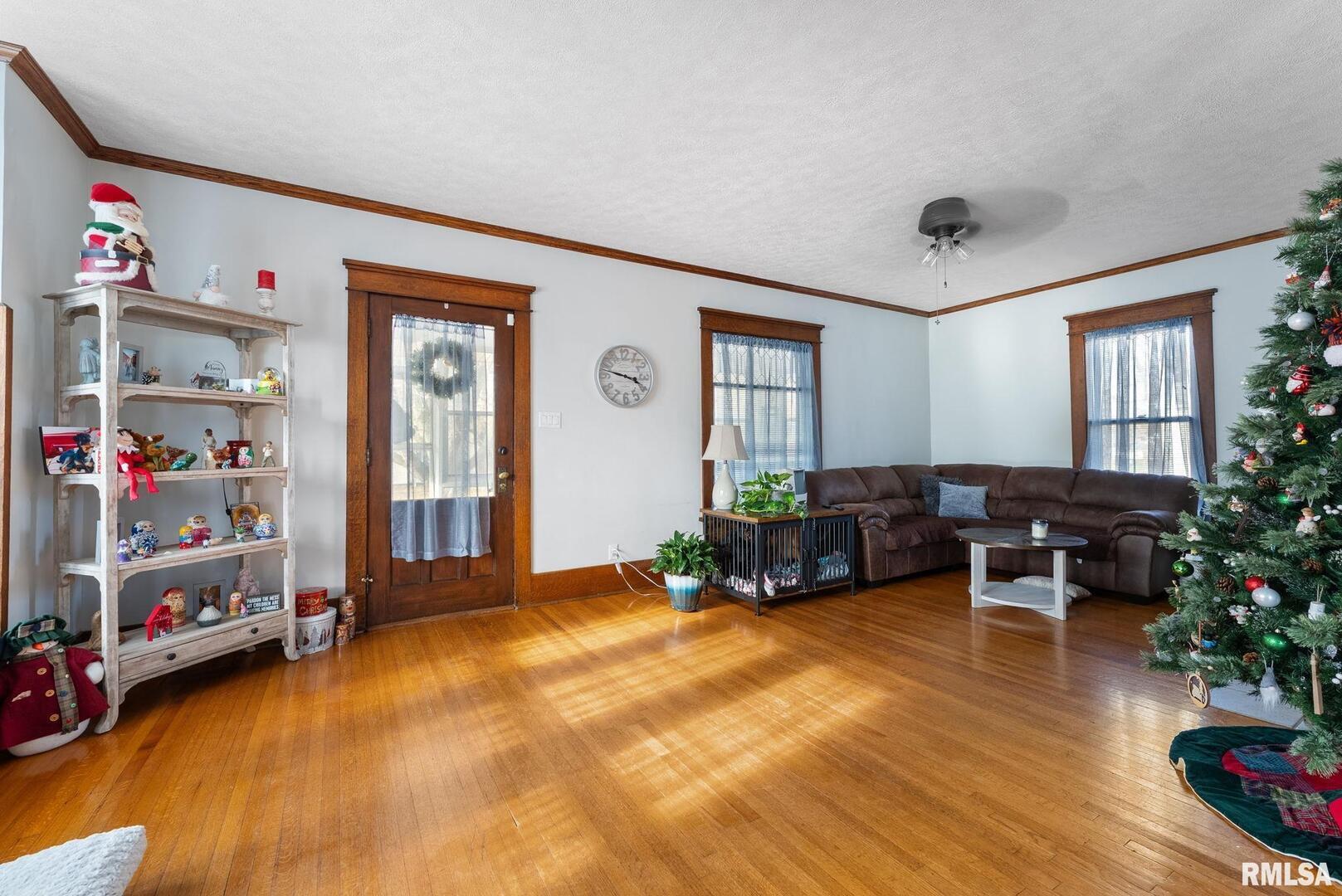 308 Northeast 3rd Avenue Aledo, IL 61231 - Photo 14 of 28 a living room with furniture and a potted plant