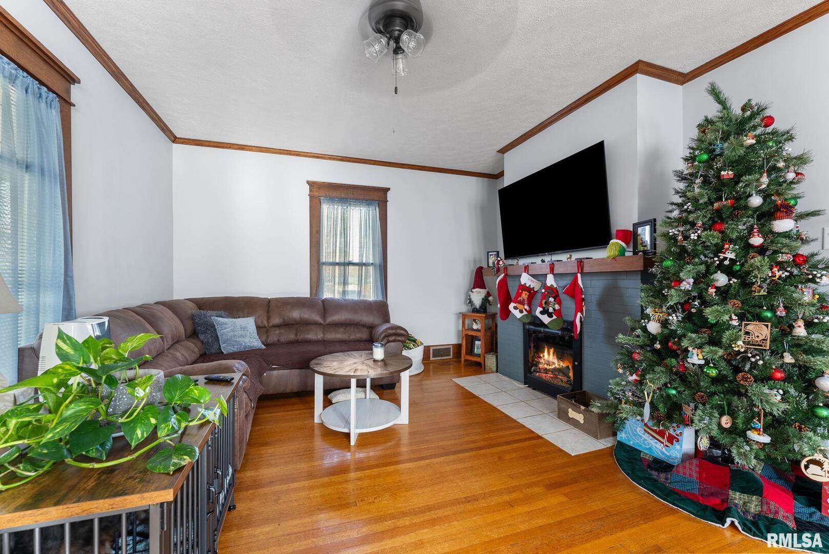 308 Northeast 3rd Avenue Aledo, IL 61231 - Photo 16 of 28 a living room with furniture a flat screen tv and a potted plant