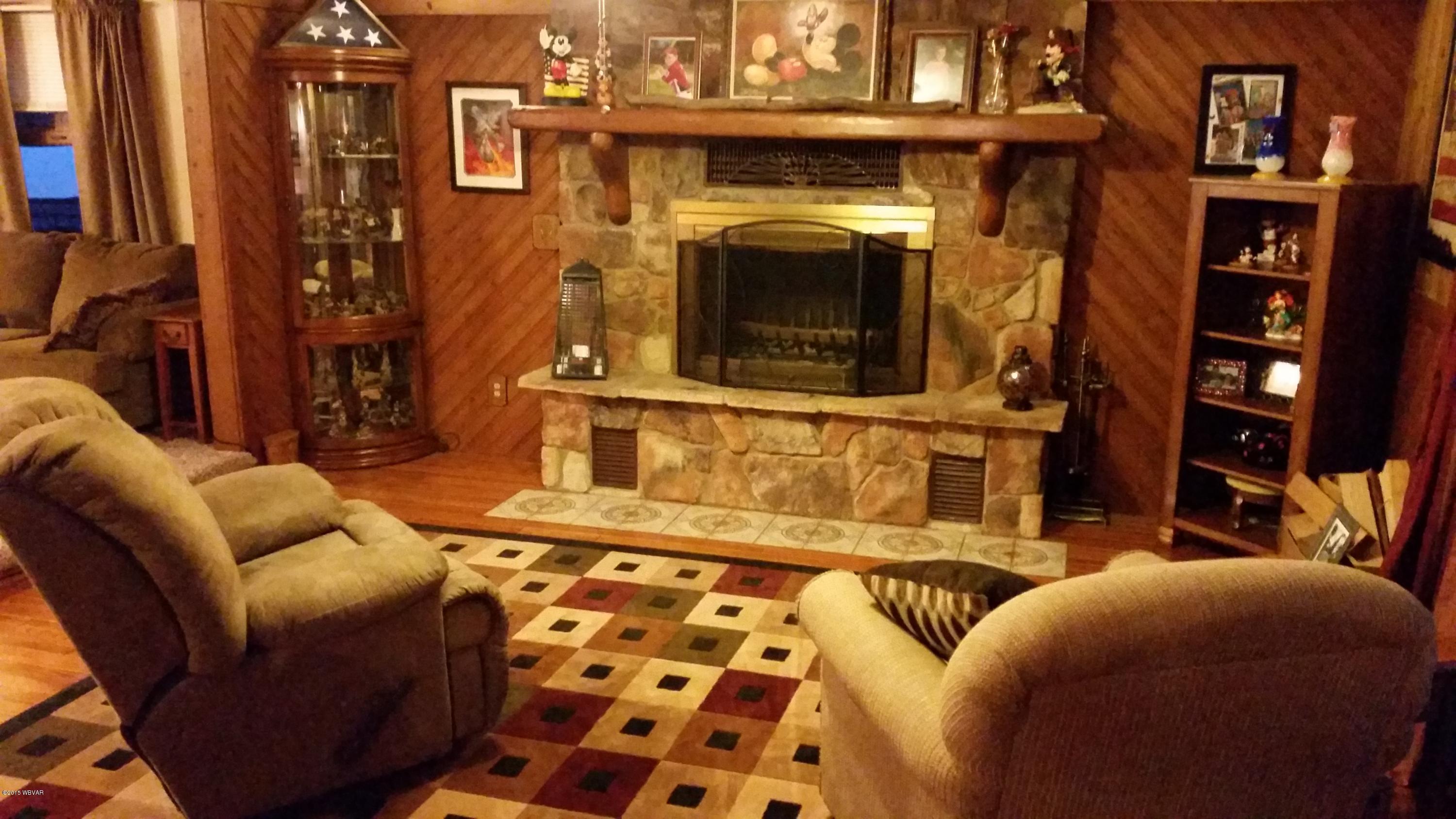 112 East Summit Street Avis, PA 17721 - Photo 16 of 33 Stone Fireplace