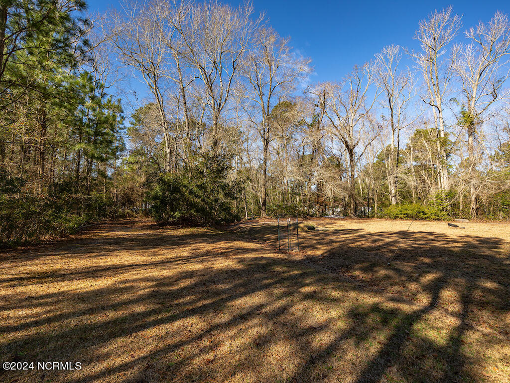 0 Hallsboro Road South Whiteville, NC 28472 - Photo 20 of 27 20