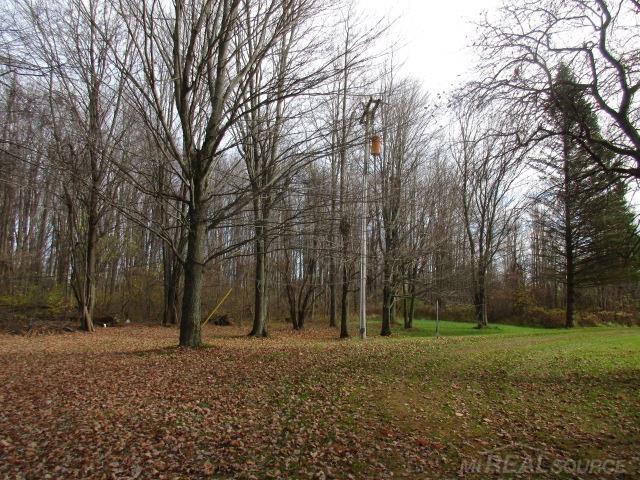 3931 Applegate Road Applegate, MI 48401 - Photo 11 of 17