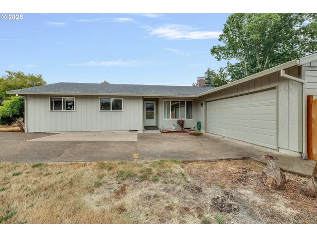 a view of a backyard with plants and large tree